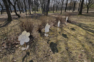 Wielkanocne szukanie jajek w Parku Braci Wieniawskich w Lublinie