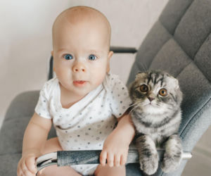 Dzień Kota 2026. Kiedy wypada i jak świętować z dziećmi?