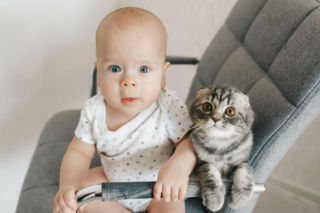 Dzień Kota 2026. Kiedy wypada i jak świętować z dziećmi?