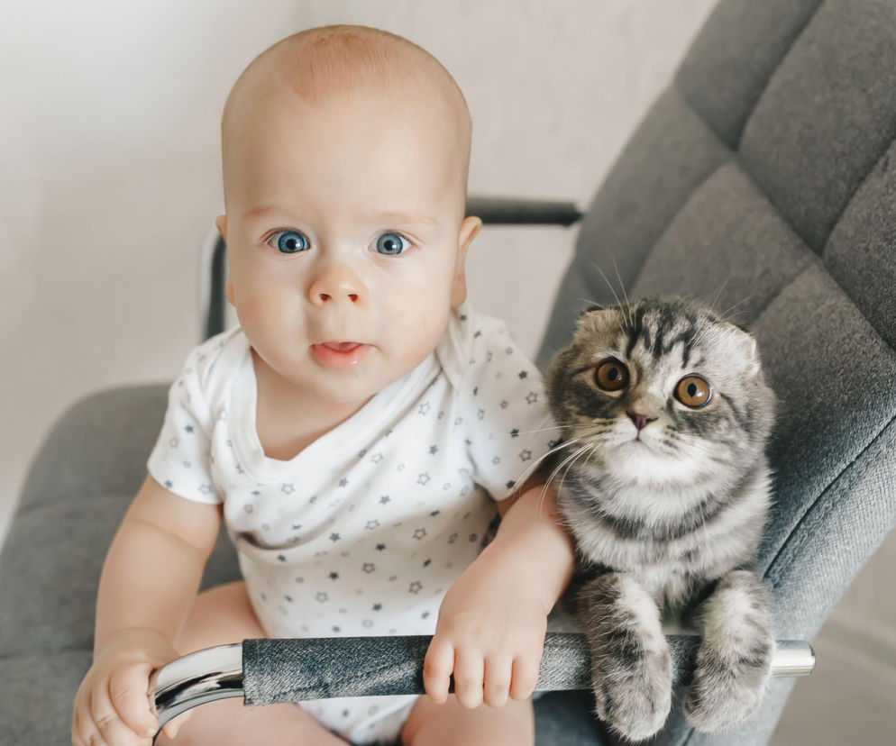 Dzień Kota 2026 – kiedy wypada i jak świętować z dziećmi?