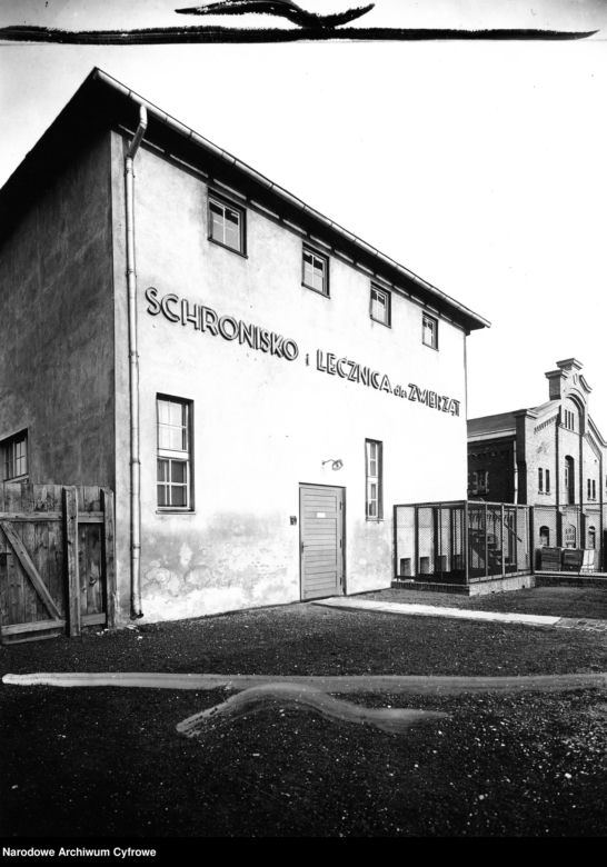 Tak wyglądała Bydgoszcz w latach 30. ubiegłego wieku! Zobacz archiwalne zdjęcia