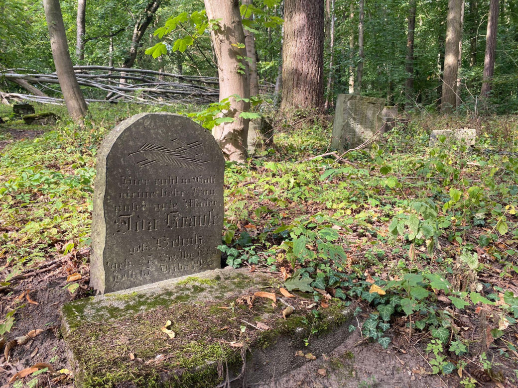 Tak wygląda opuszczony cmentarz w Łagowie, w woj. lubuskim