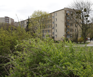 Wyjechała do pracy, została zamordowana w Warszawie. Zaginięcie i fałszywe wiadomości: „Ktoś pisał to za nią”