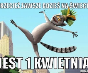 memy