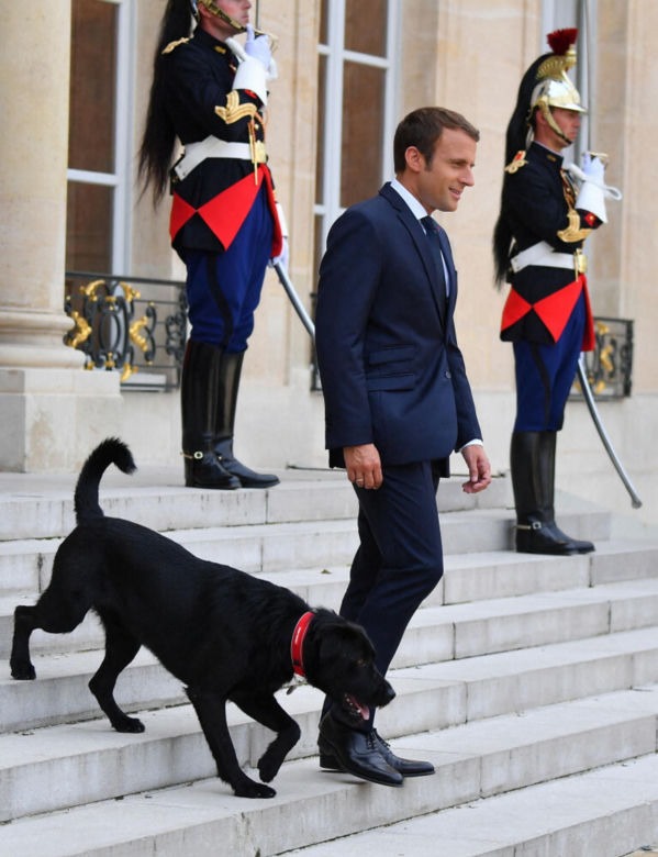 Prawda o Macronie ujawniona! Nie zgadniesz, co kupuje hurtowo perfumy i zlewa się nimi w hurtowych ilościach