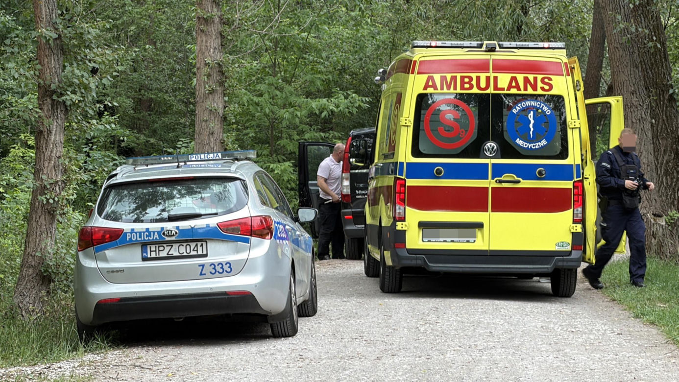 Mężczyzna przygnieciony drzewem przy Moście Poniatowskiego w Warszawie