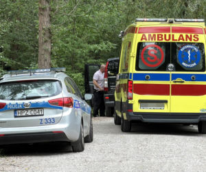 Mężczyzna przygnieciony drzewem przy Moście Poniatowskiego w Warszawie