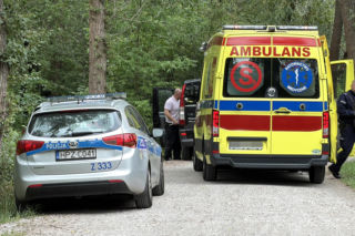 Mężczyzna przygnieciony drzewem przy Moście Poniatowskiego w Warszawie