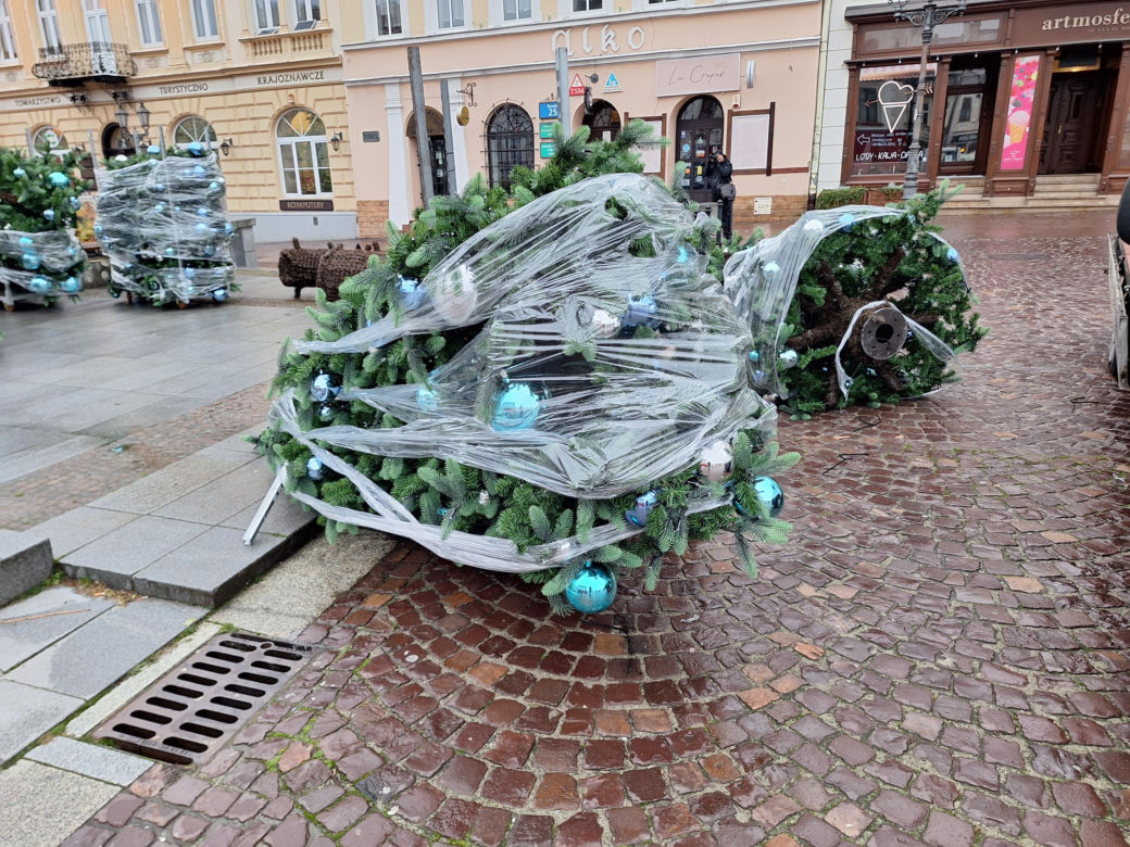 Na rzeszowskim Rynku rozpoczął się montaż świątecznej choinki 