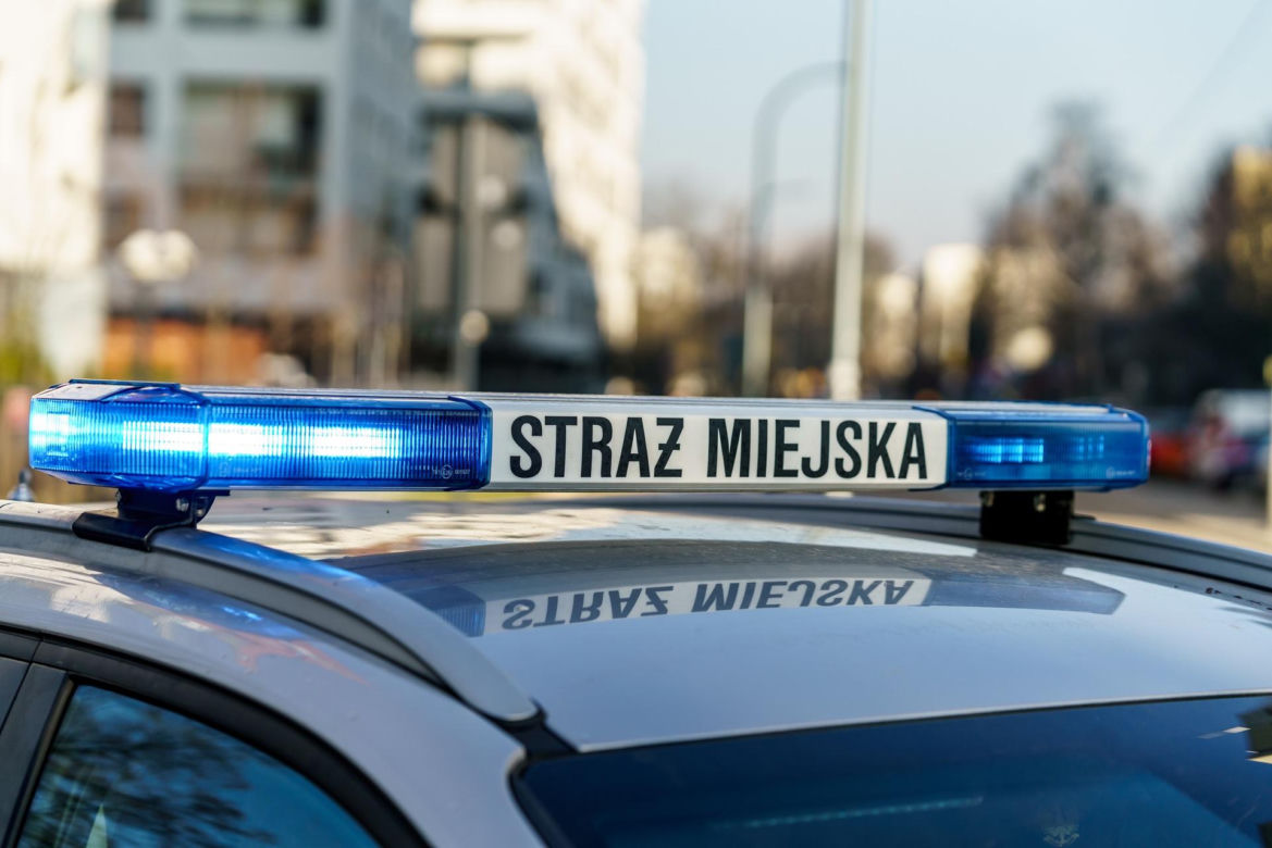 Koszmar szczeniaka