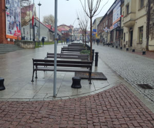 Odsalaksy w Jaworznie