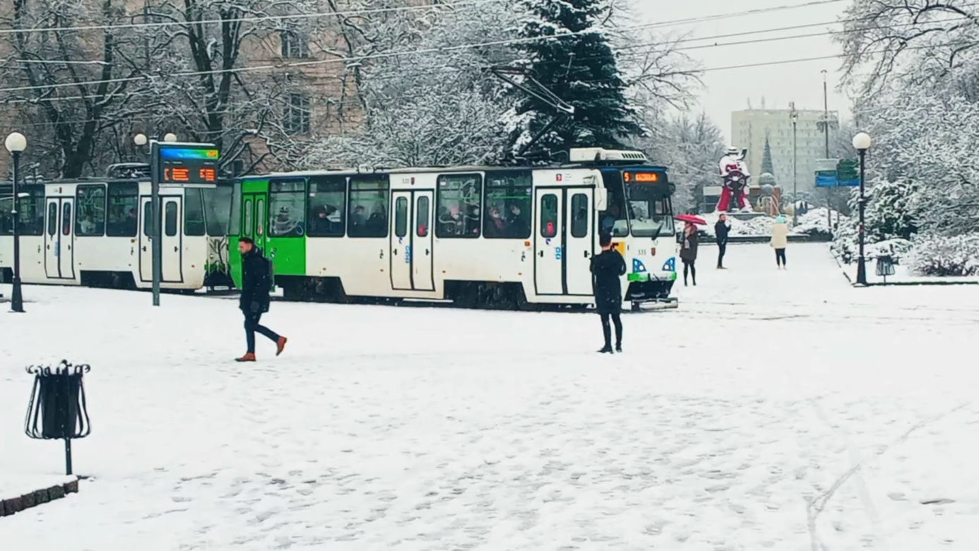Pierwszy śnieg w Szczecinie