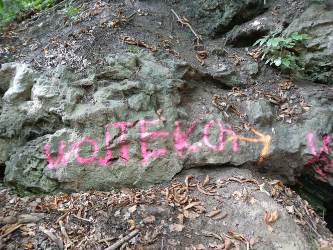 Wandale zniszczyli przyrodniczy skarb pod Bydgoszczą. Jaskinia „Bajka” oszpecona farbą