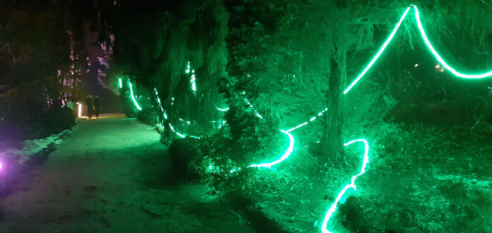 Lumina Park w Ogrodzie Botanicznym UMCS w Lublinie