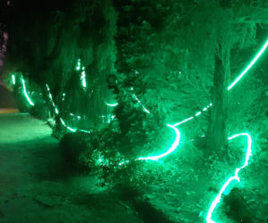 Lumina Park w Ogrodzie Botanicznym UMCS w Lublinie