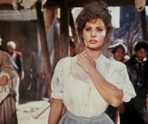 Sophia Loren