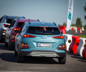Energy Mix Arval 2020