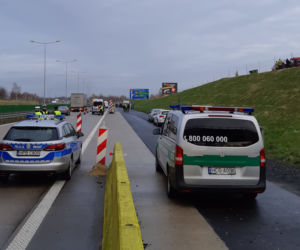Kontrole sanitarne na granicy z Niemcami