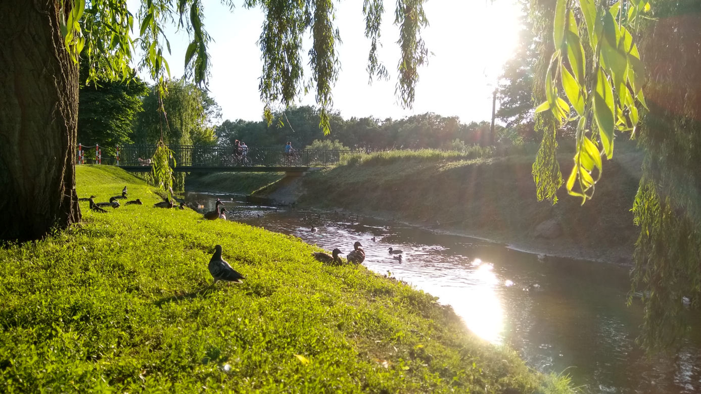 6. Park Antoniuk