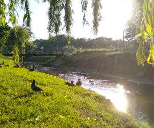6. Park Antoniuk