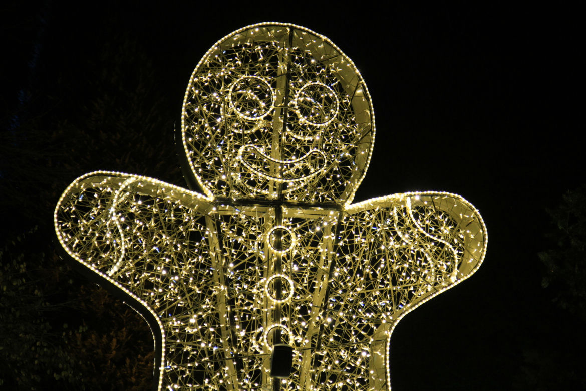 Park iluminacji „Tajemniczy Ogród” w Lublinie