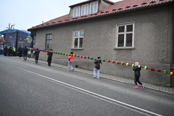 35 metrów i 80 centymetrów liczy palma, która zwyciężyła tegoroczny konkurs palm w Lipnicy Murowanej