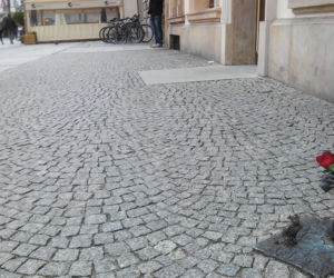 Para krasnali na wrocławskim rynku