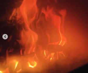 Kaczorowska i Rogacewicz zakochani, a Pela? Do ostatniej chwili myślał, że spędzi święta samotnie