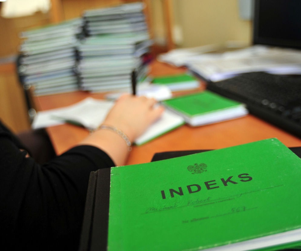 studia