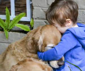 Golden retrievery to psy bardzo cierpliwe i odpowiedzialne, więc są idealnymi kompanami dla dzieci.