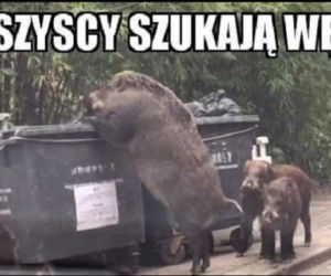 PYTON W MEMACH