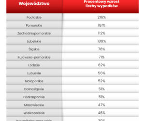 Wszystkich Świętych 2020. Gdzie możesz spodziewać się mandatu? Drogi krajowe i wojewódzkie