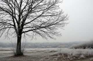 Pogoda Żagań 19.11.2025. Uwaga! Czy zima zaskoczy mieszkańców?