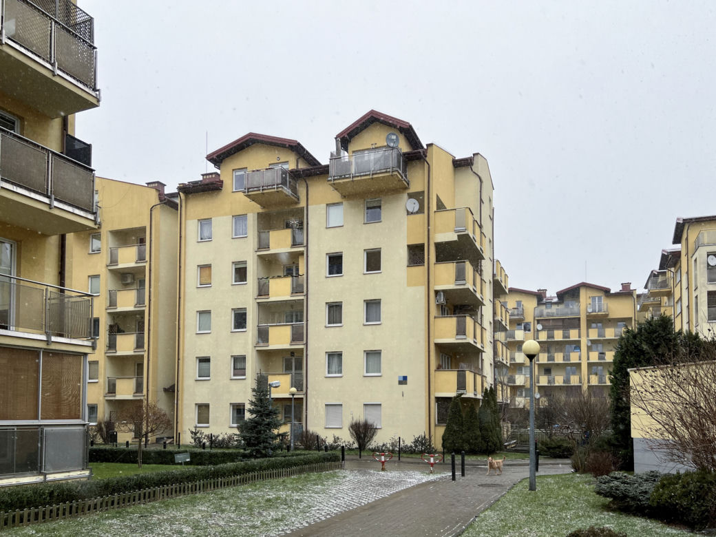 Tu Karl zamordował matkę. Morderstwo Amerykanki na Żoliborzu 