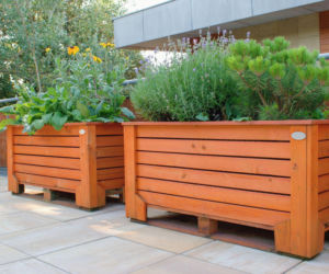 Zrób samodzielnie piękną donicę ogrodową!