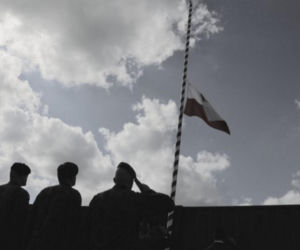 Te historie wyciskały łzy w 2025 roku. Bezsensowna śmierć, cierpienie zwierząt i niewytłumaczalna zbrodnia