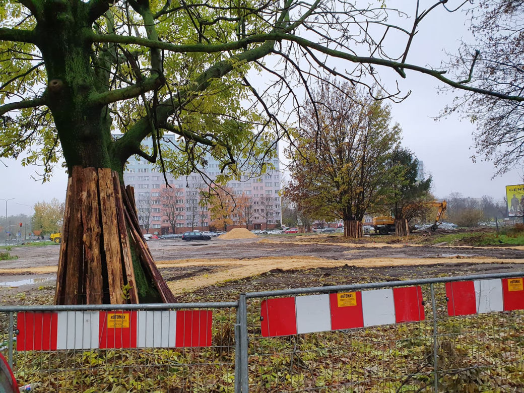 Był dziki parking, bedzie zielony skwer