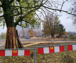 Był dziki parking, bedzie zielony skwer