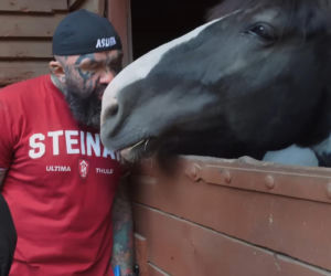 Marcin Różalski ratuje konie