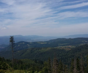 Rysianka