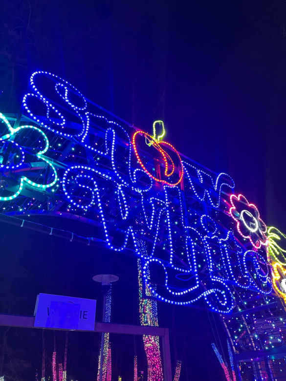 Garden of Lights w Szczecinie