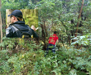 W nocy na drzewie koło Wasilkowa siedziało trzech mężczyzn