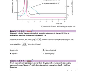 Matura 2026 z biologii ROZSZERZONEJ: arkusze CKE, poziom podstawowy [Formuła 2023] 08.05.2026