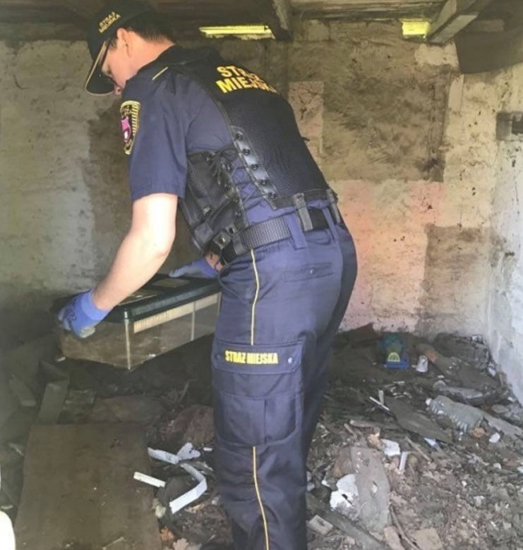 W lokalu na Starym Mieście spał Batman. Musiała interweniować straż miejska [FOTO]
