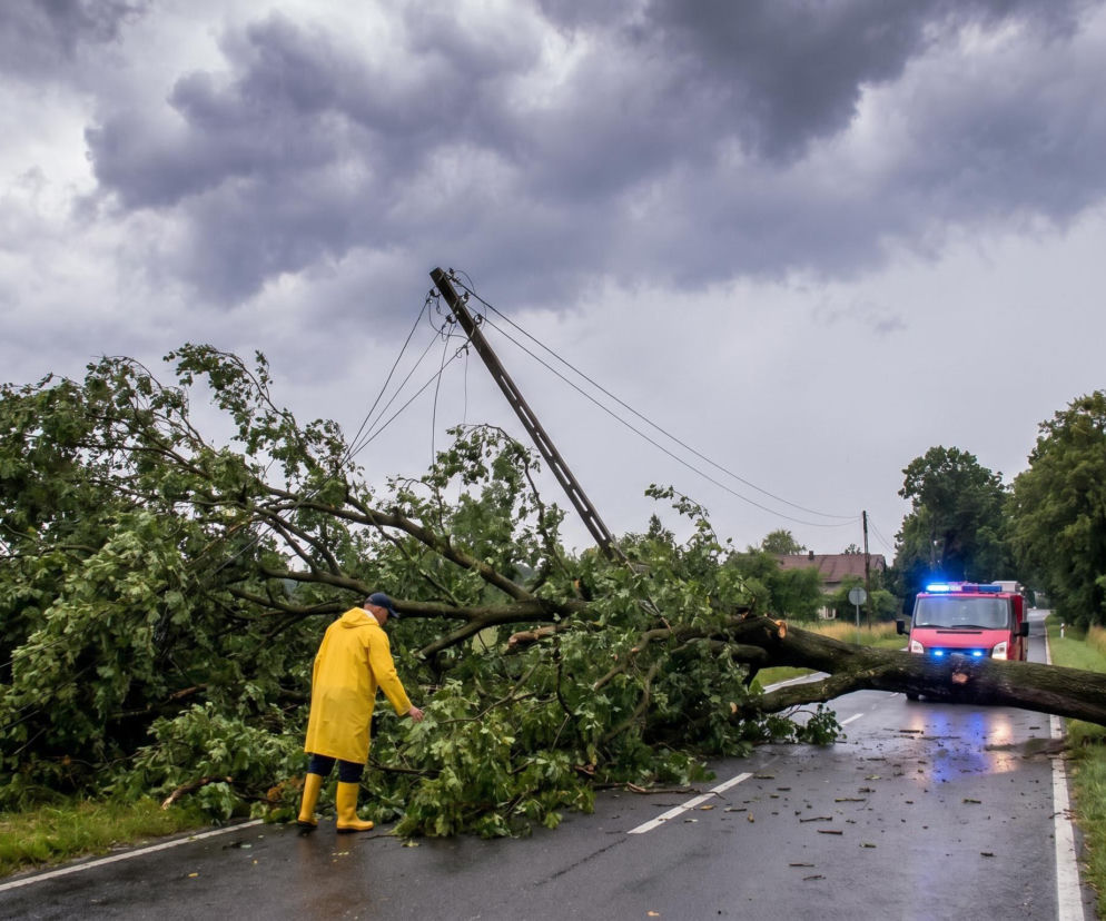 Powalone drzewo blokujące drogę po potężnej burzy, z pniem leżącym na asfalcie i konarami w rowie, obok złamany słup energetyczny i strażak w żółtym płaszczu przeciwdeszczowym. W tle widać wóz strażacki z włączonymi światłami. Więcej o niszczycielskich skutkach żywiołu przeczytasz na naszym portalu.