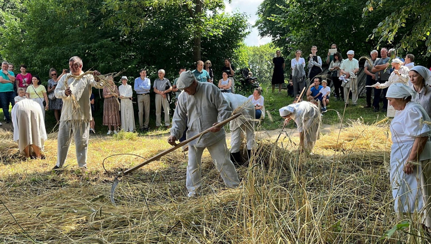 W Skansenie odbyły się retro żniwa, żęto żyto metodami pradziadków