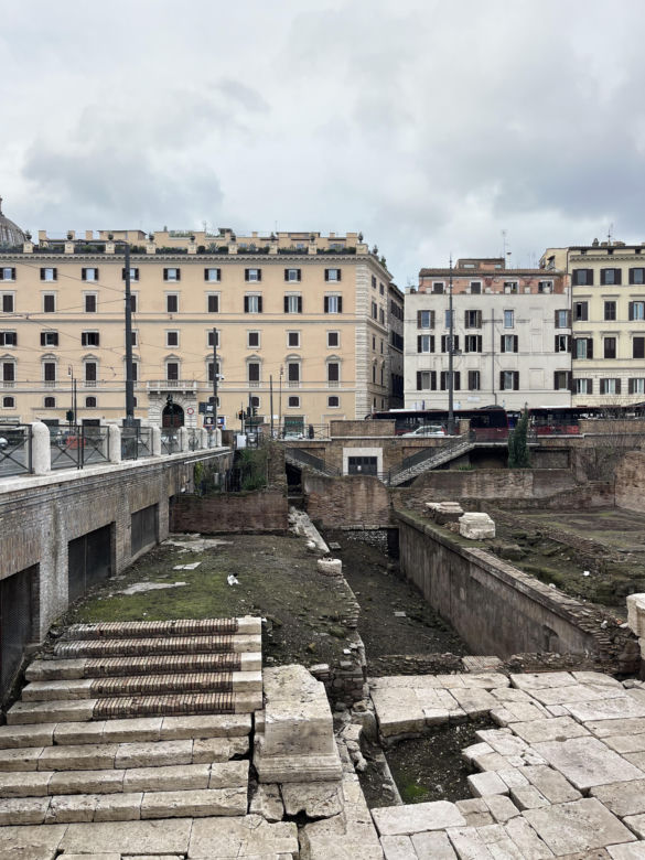 Largo Argentina w Rzymie. Koty zamieszkały w starożytnych ruinach - zobacz zdjęcia