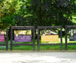 Zabytkowa ptaszarnia we wrocławskim zoo już otwarta