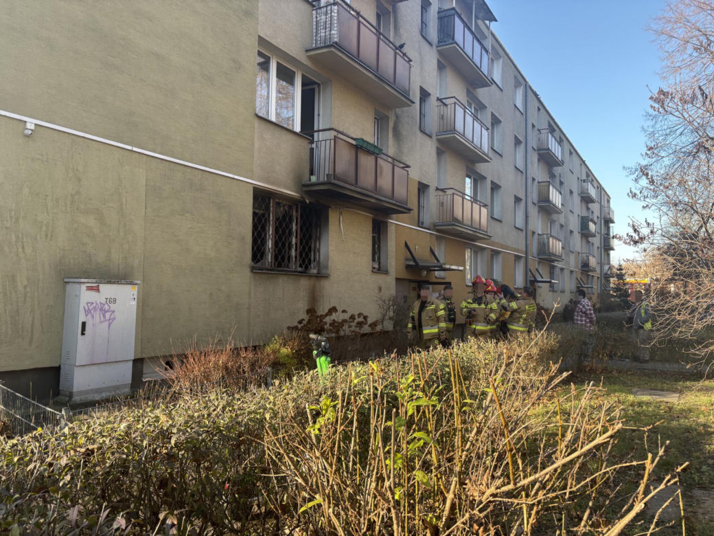 Pożar mieszkania na parterze. Strażacy z ognia wynieśli przerażonego kota