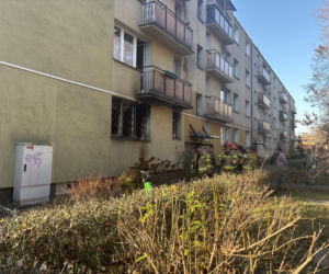 Pożar mieszkania na parterze. Strażacy z ognia wynieśli przerażonego kota